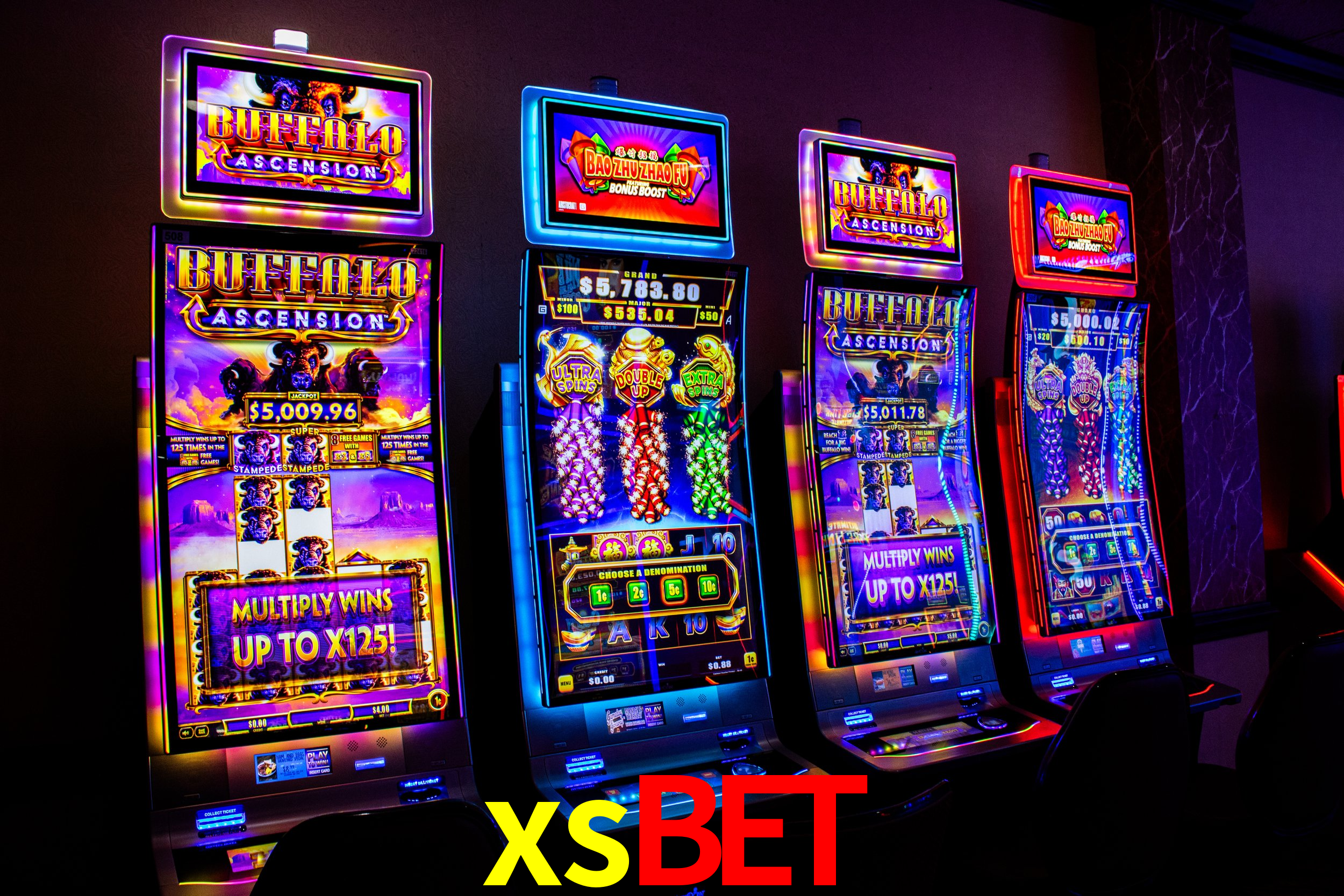 Casino Ao Vivo xsbet